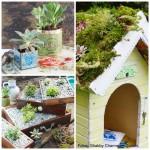 Sukkulenten-Shabby-charme-im-Garten
